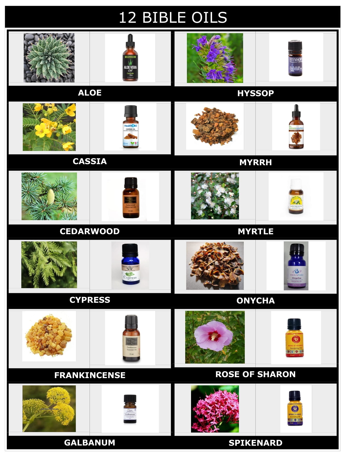 12 Bible Oils for Health