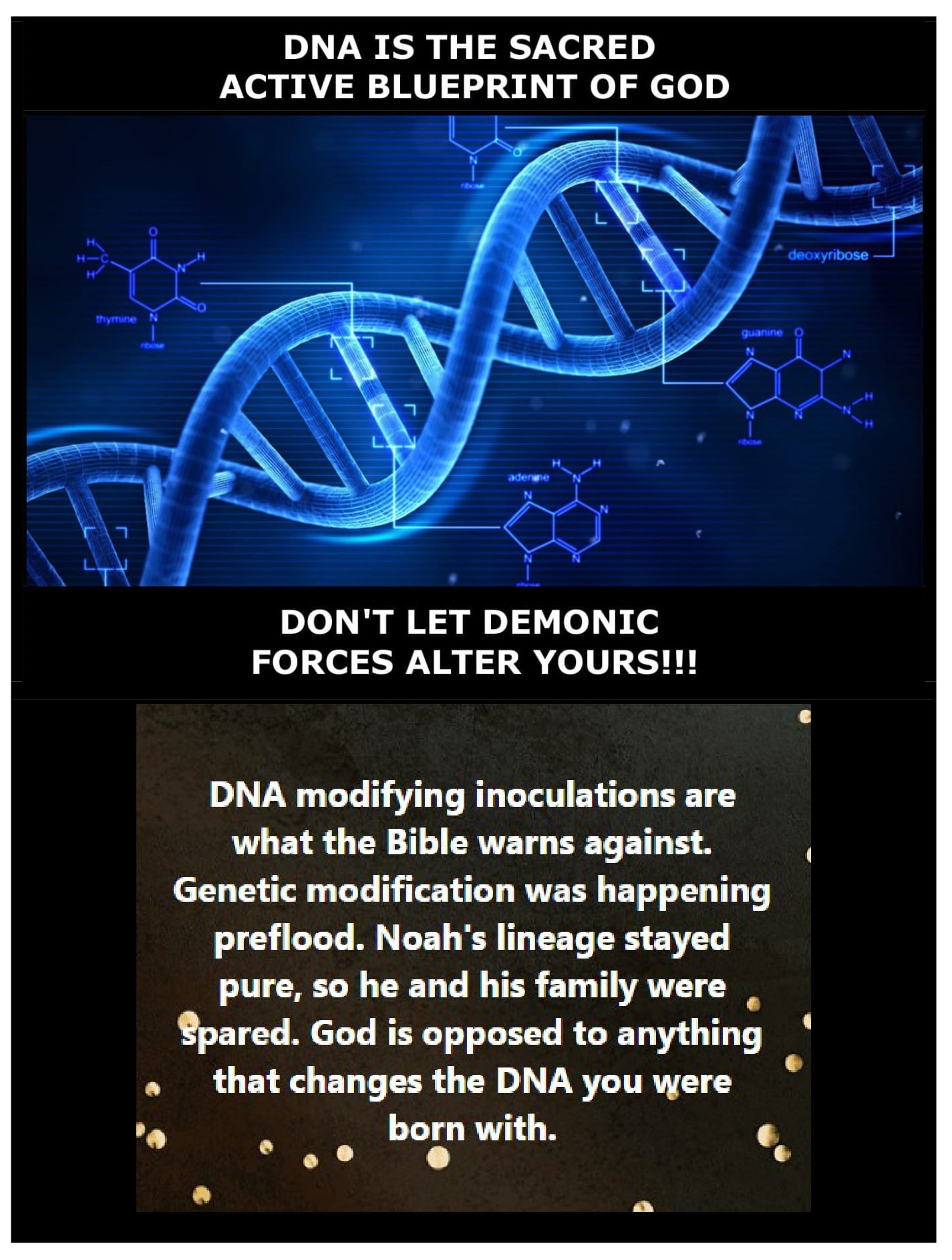 DNA Blueprint of God